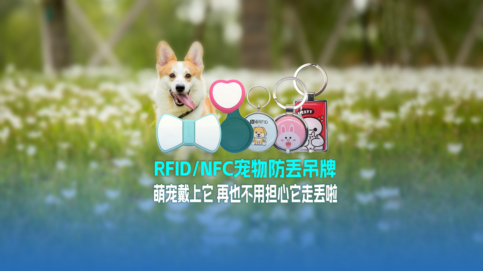 Ggpoker官网集团RFID宠物防丢吊牌：萌宠戴上它 再也不用不安它走丢啦